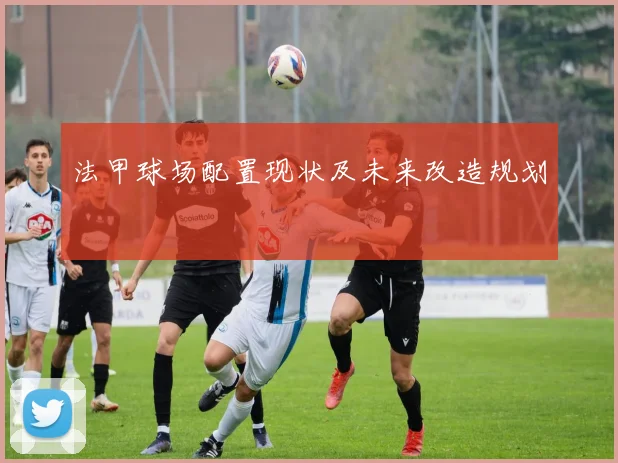法甲球场配置现状及未来改造规划