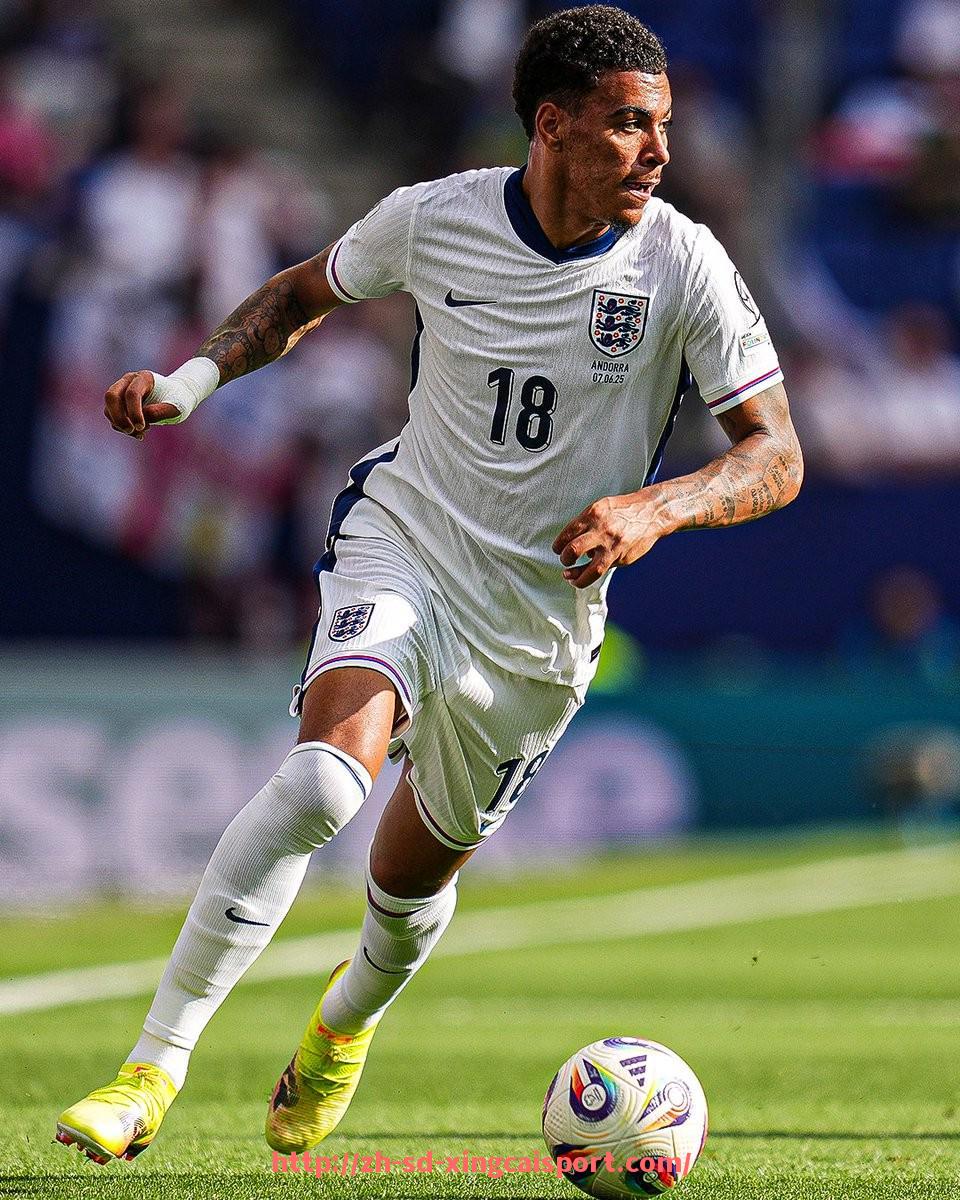 杏彩体育-世俱杯战报分析及比赛结果综合点评